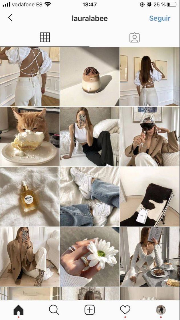 Social Feed para ista🐦🌼