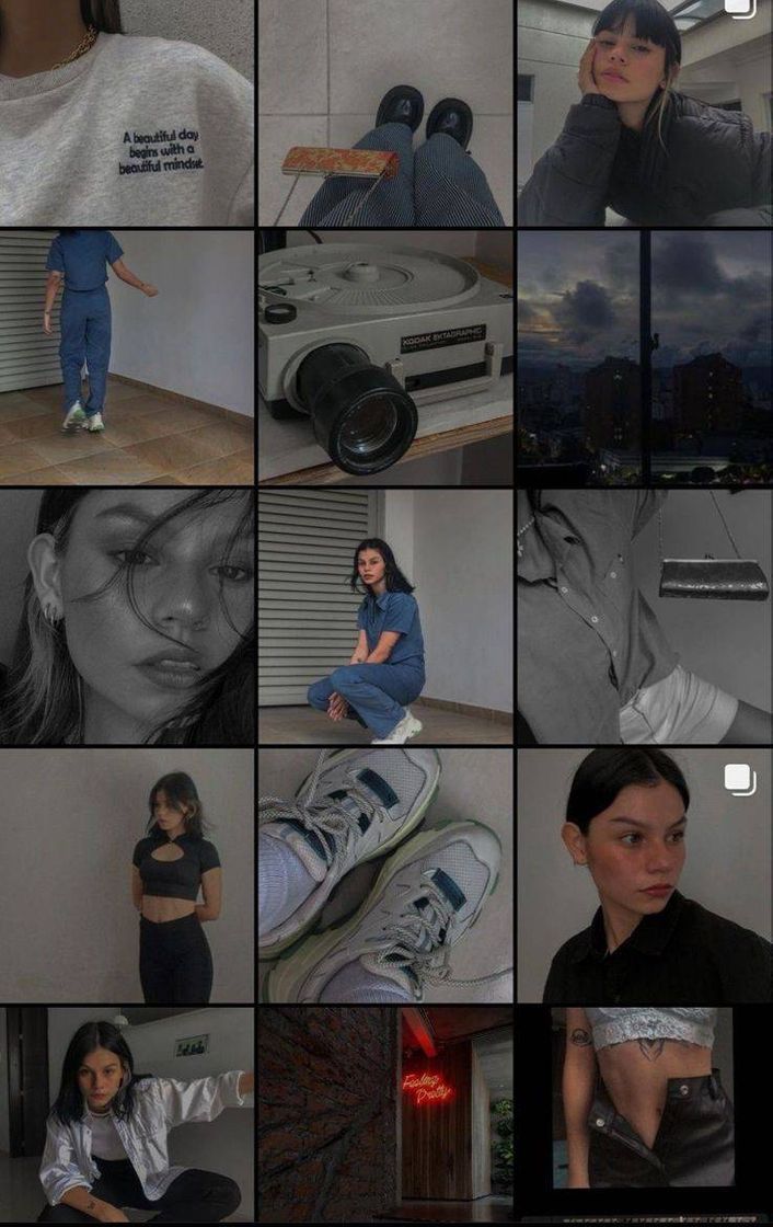 Social Feed do insta🐱🌼