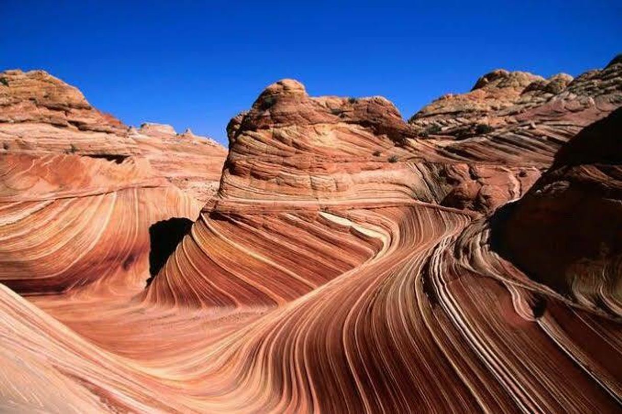 Social The Wave, Arizona, Estados Unidos | The wonders