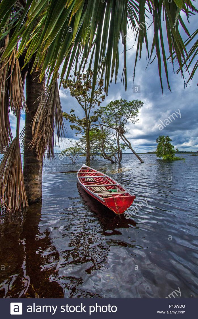 Lugar Rio Amazonas
