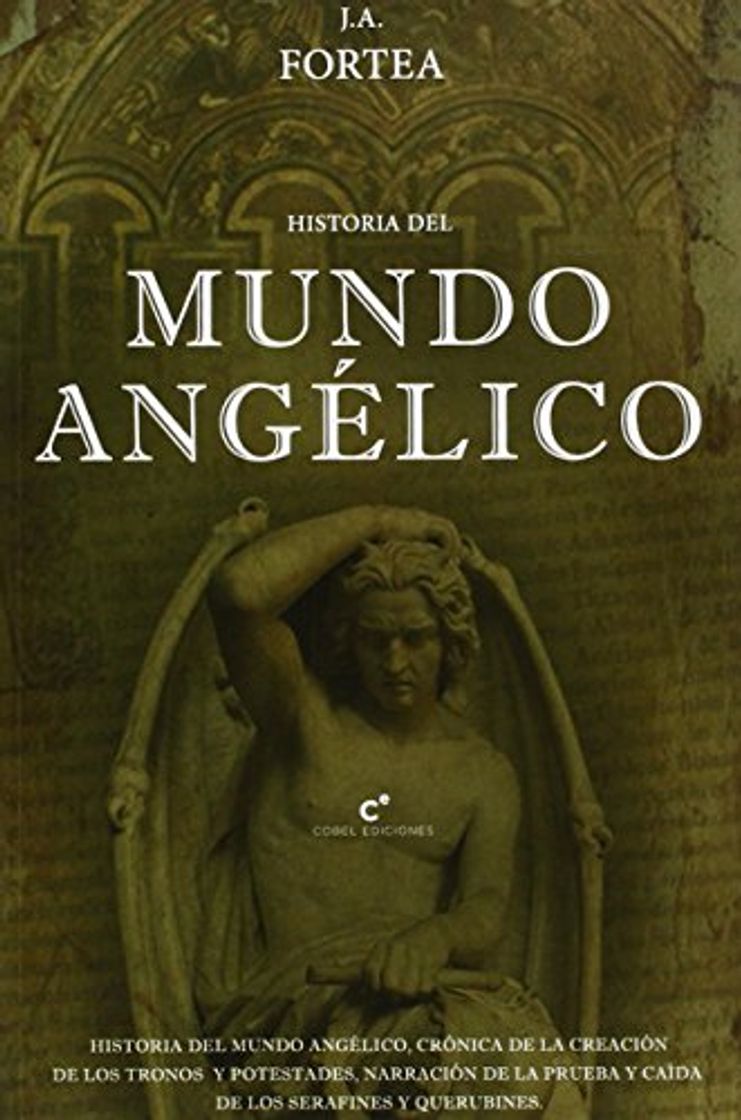 Books Historia Del Mundo Angélico