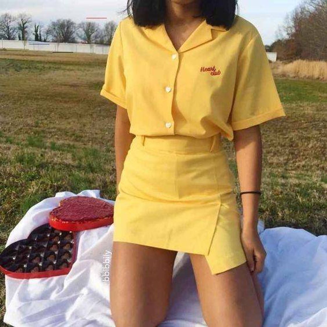 🌼 A M A R I L L O 🌼