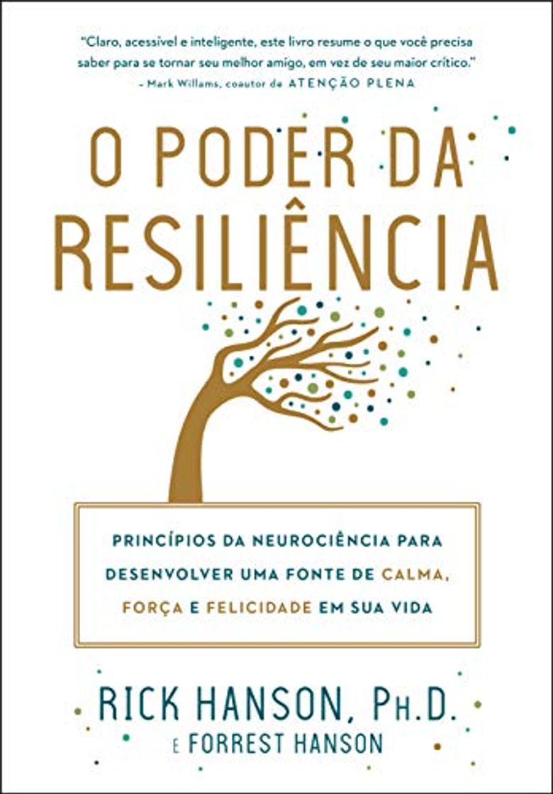 Book Sextante / Gmt O Poder Da Resiliência