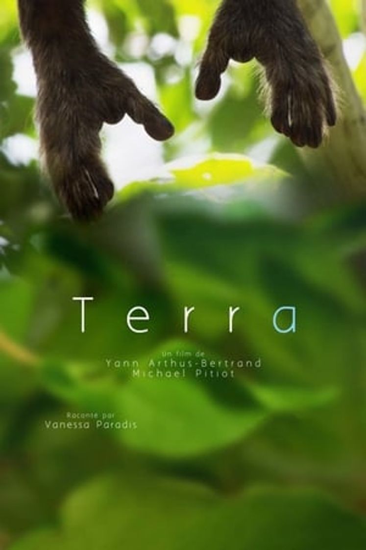 Movie Tierra