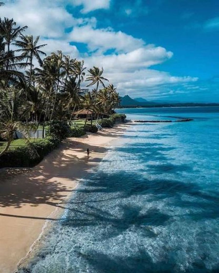 Places Oahu, Hawaii 🏖