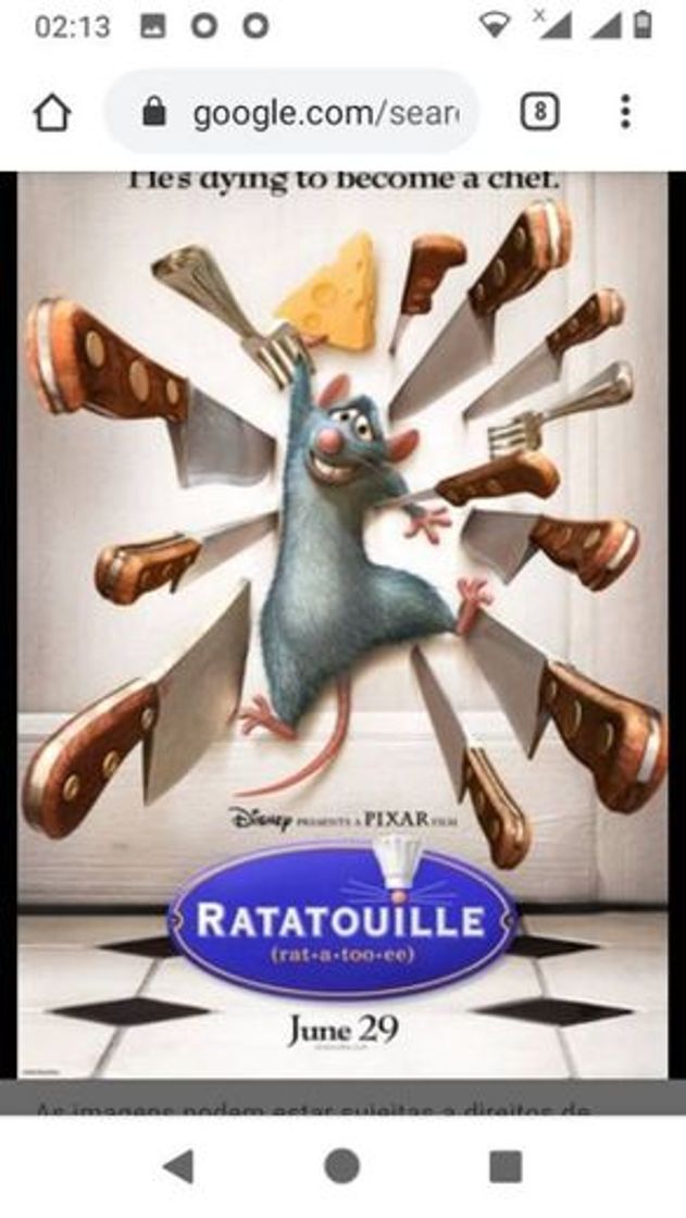 Moda Ratatouille