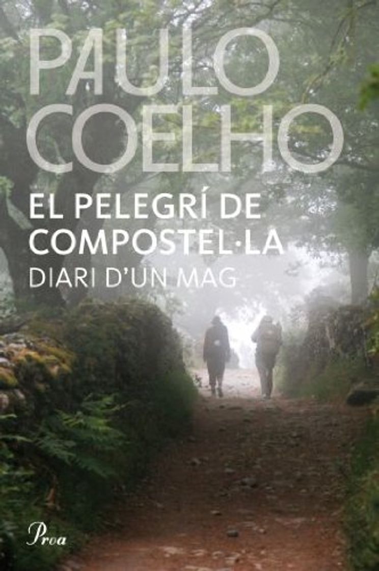 Book El Pelegrí De Compostel·la: Diari d'un mag