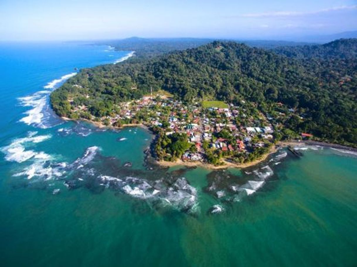 Social Puerto Viejo