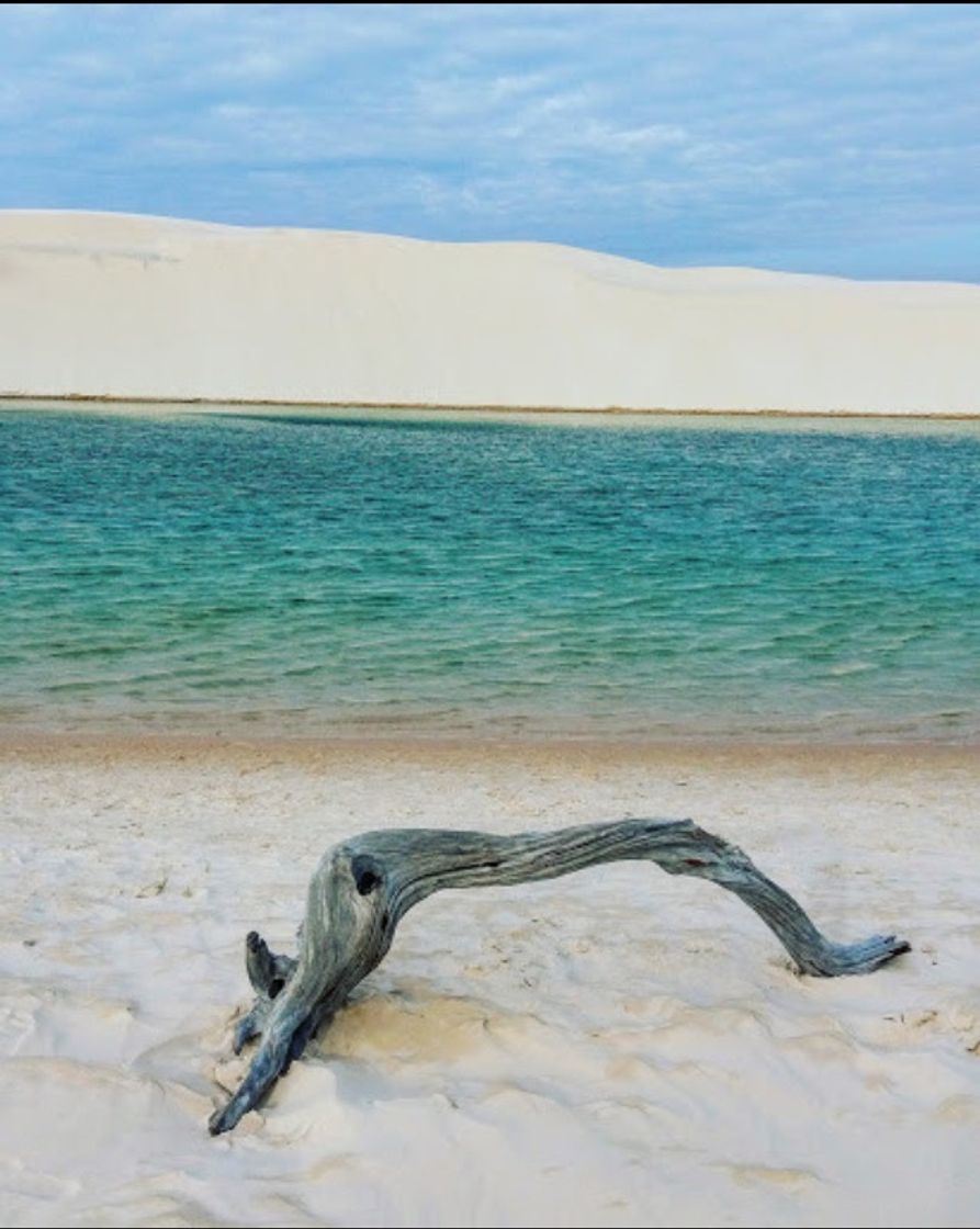 Place Parque nacional dos lençóis Maranhenses