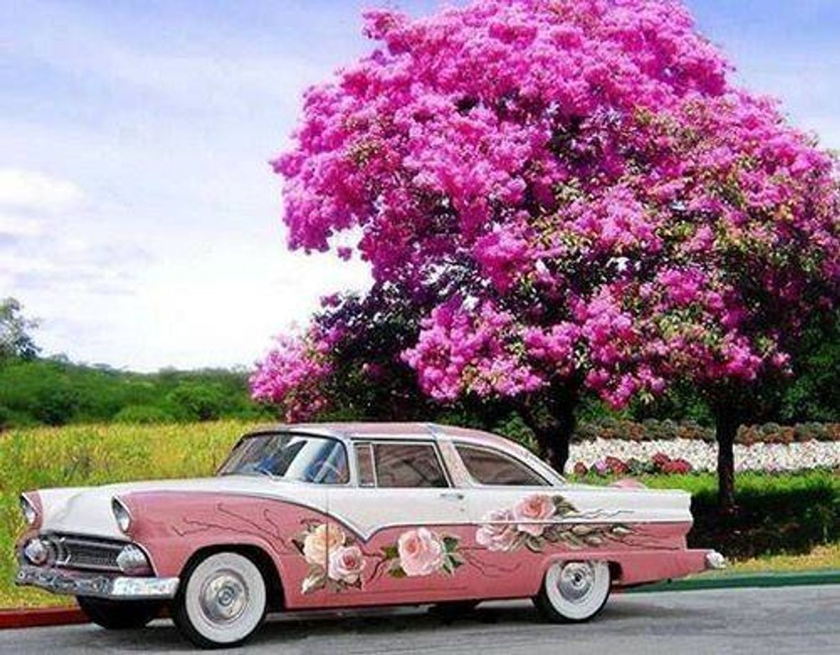 Moda Carro lindo 🌺