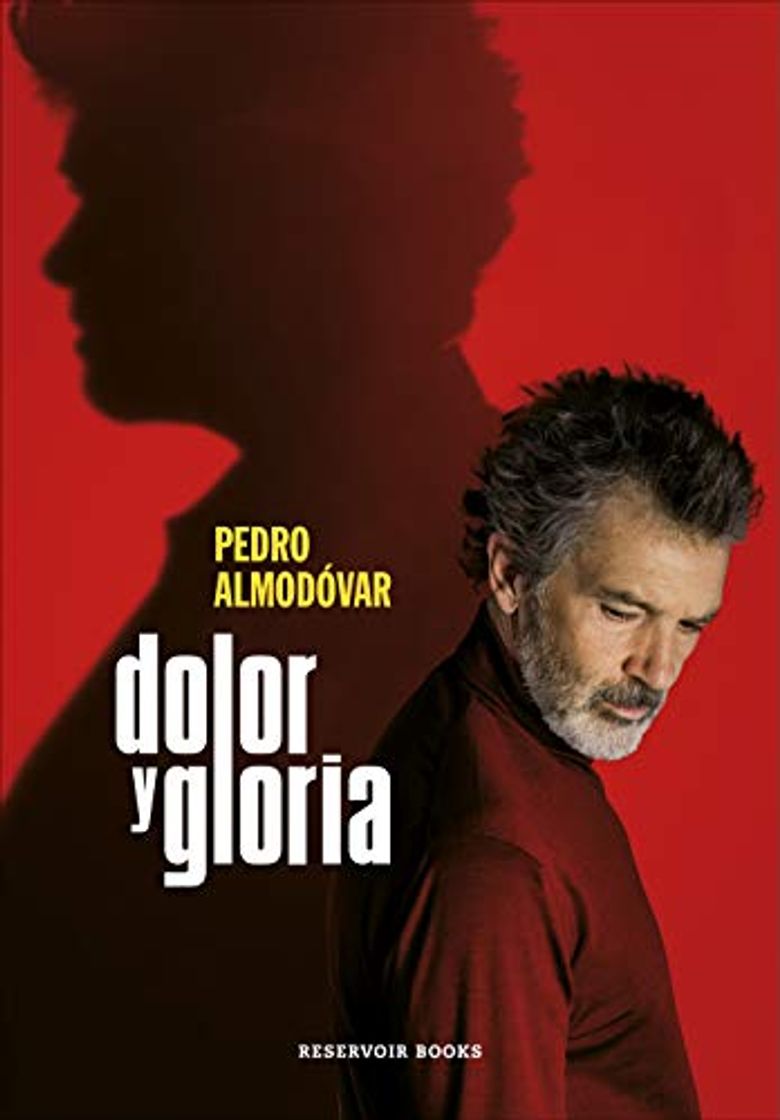 Libro Dolor y gloria