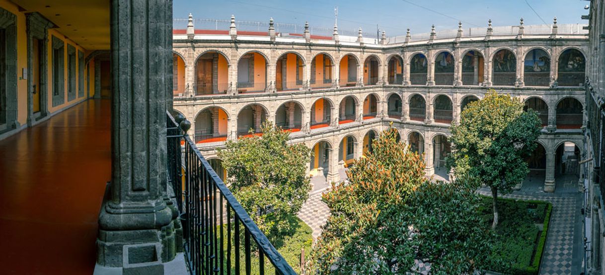 Place Antiguo Colegio de San Ildefonso