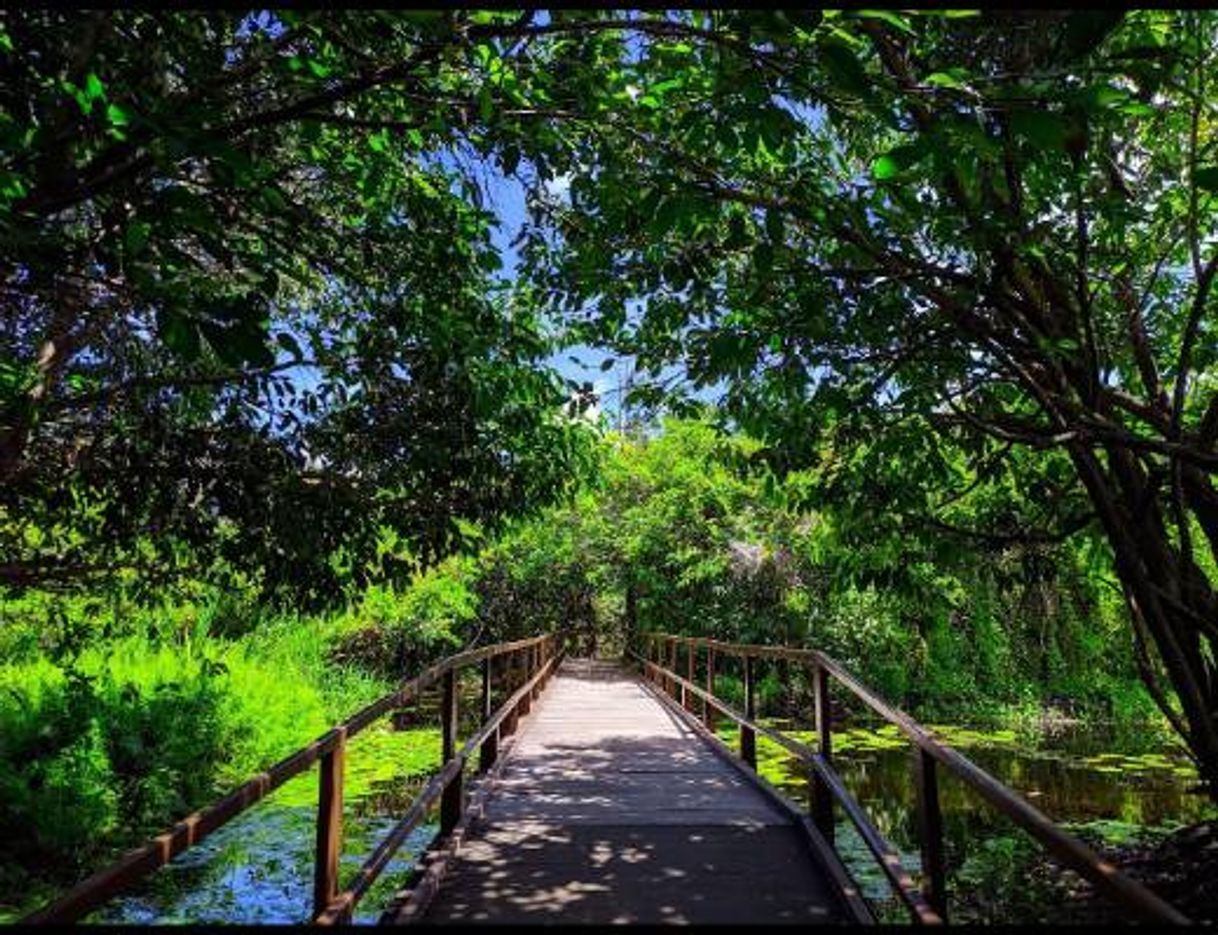 Place Parque Estadual do Rio Cocó