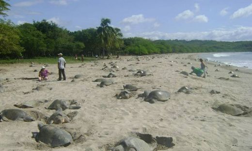 Playa El Coco