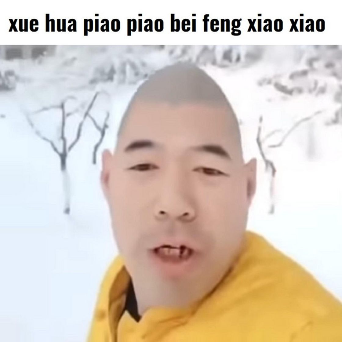 Canción Xue Hua Piao Piao Bei Feng Xiao Xiao