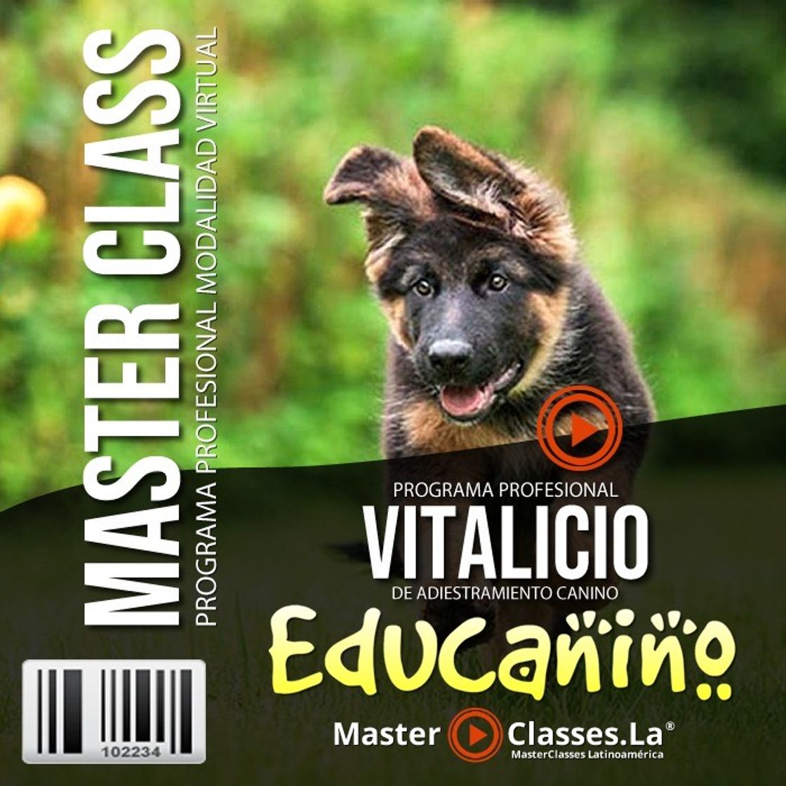 Fashion Educanino, curso de adiestramiento desde cachorro 