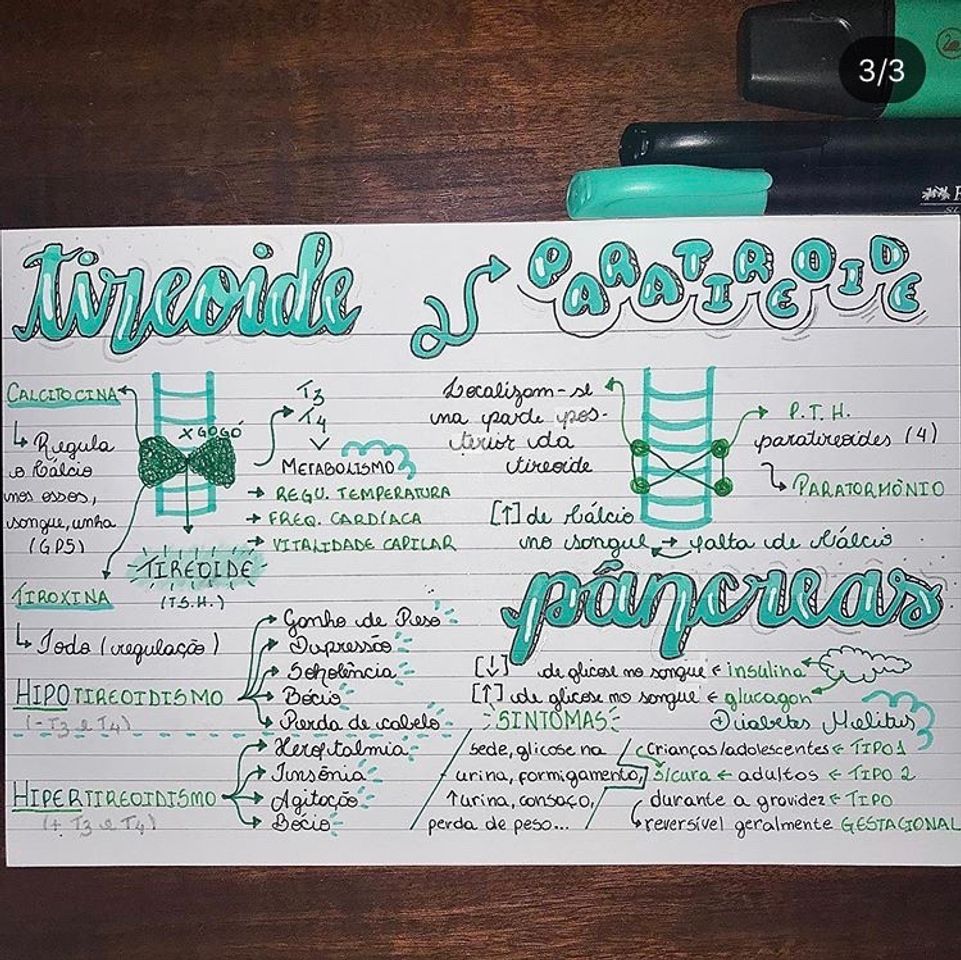 Social Resumo- Sistema Endócrino PT4