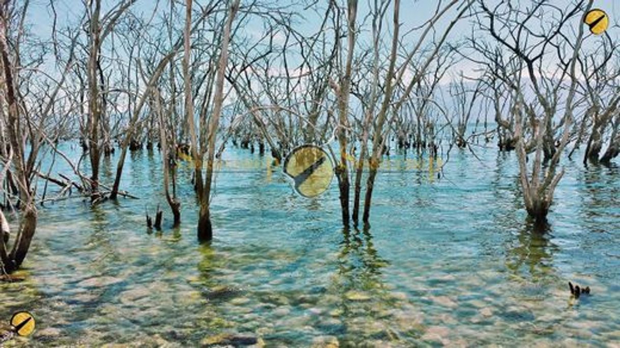 Places Parque Nacional Lago Enriquillo