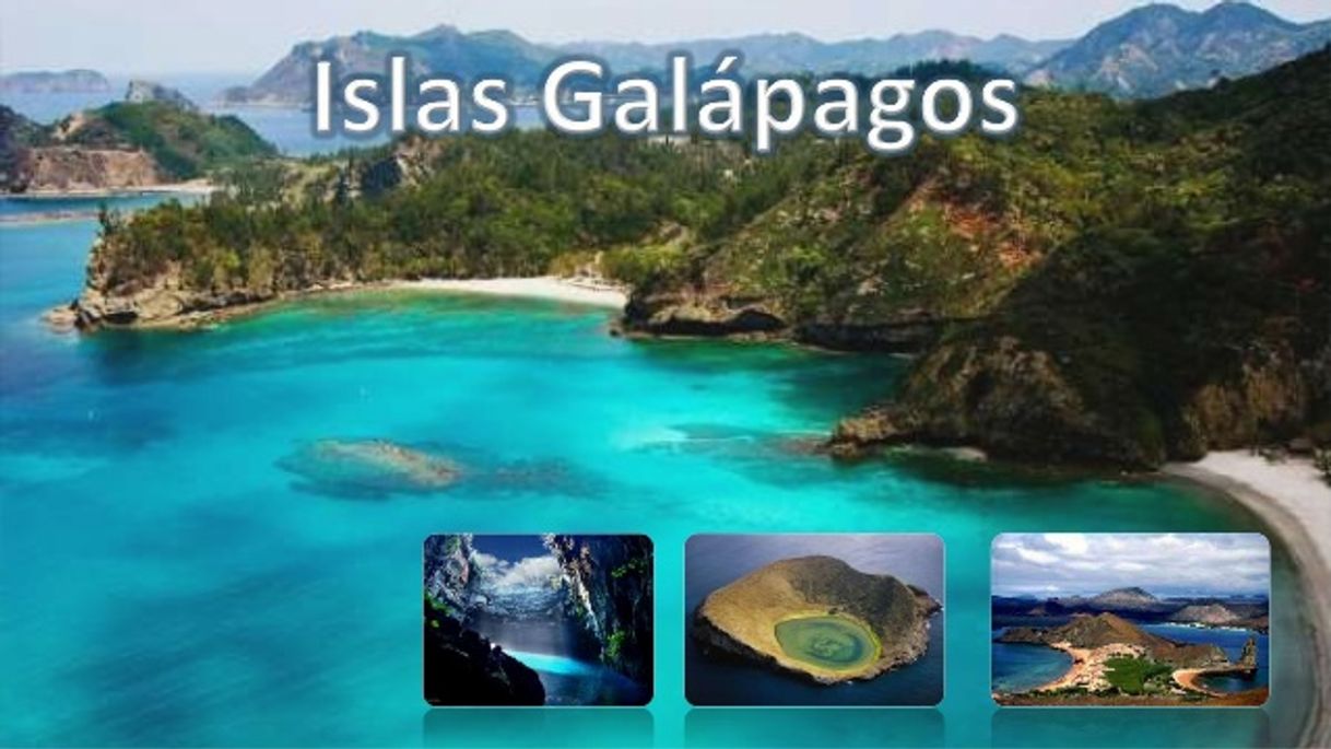 Place Galapagos