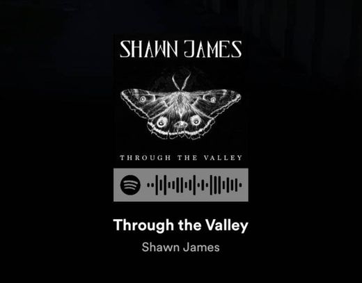 Through the Valley - Shawn James