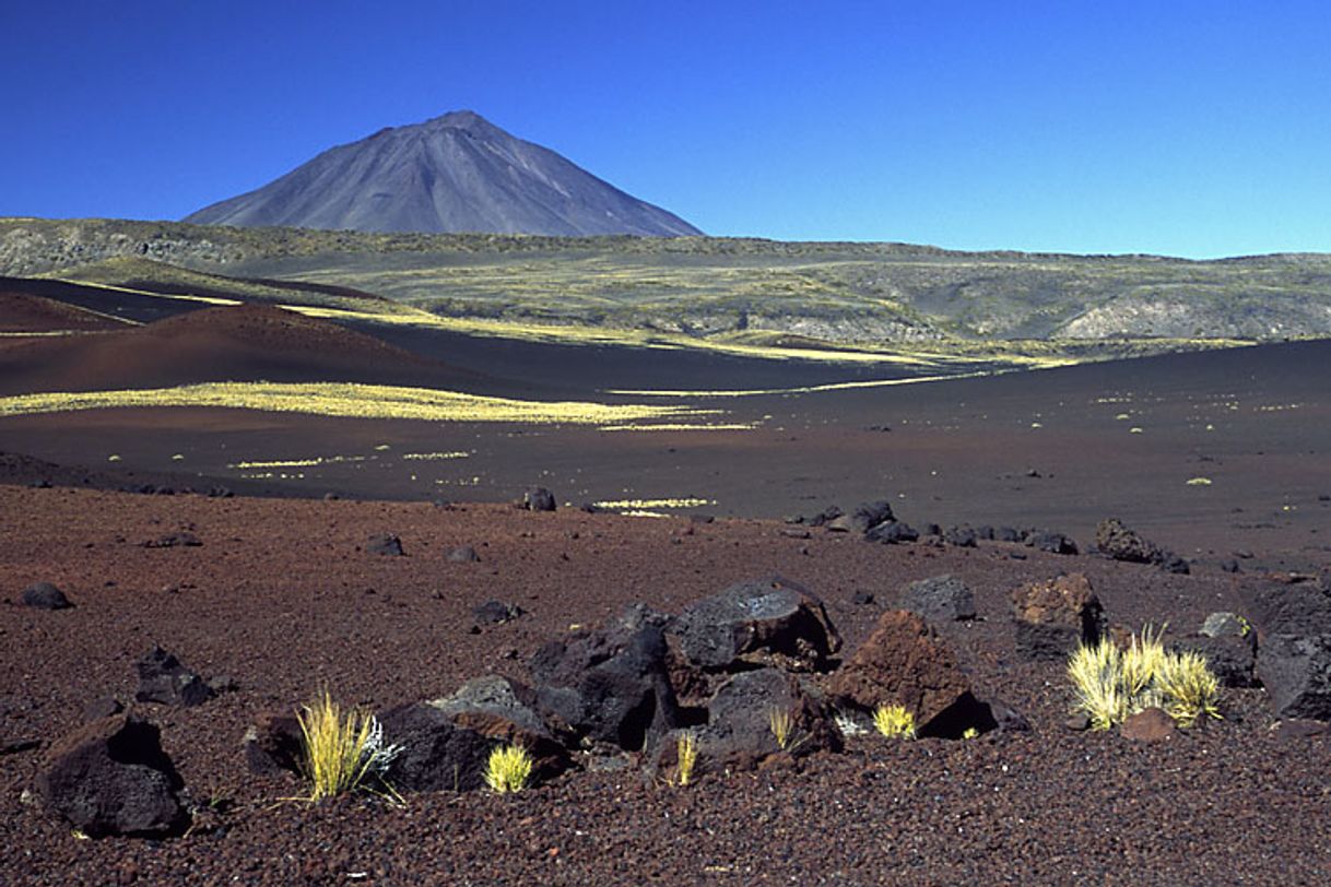 Lugar Reserva La Payunia