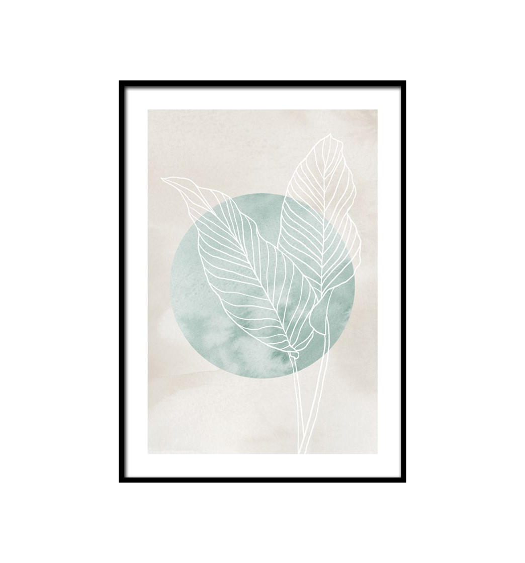 Calathea Line Drawing Poster