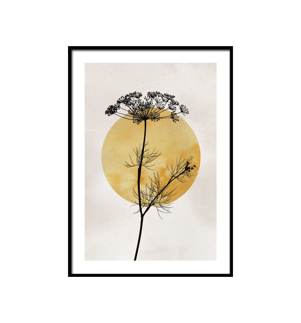 Anthriscus Silhouette Poster