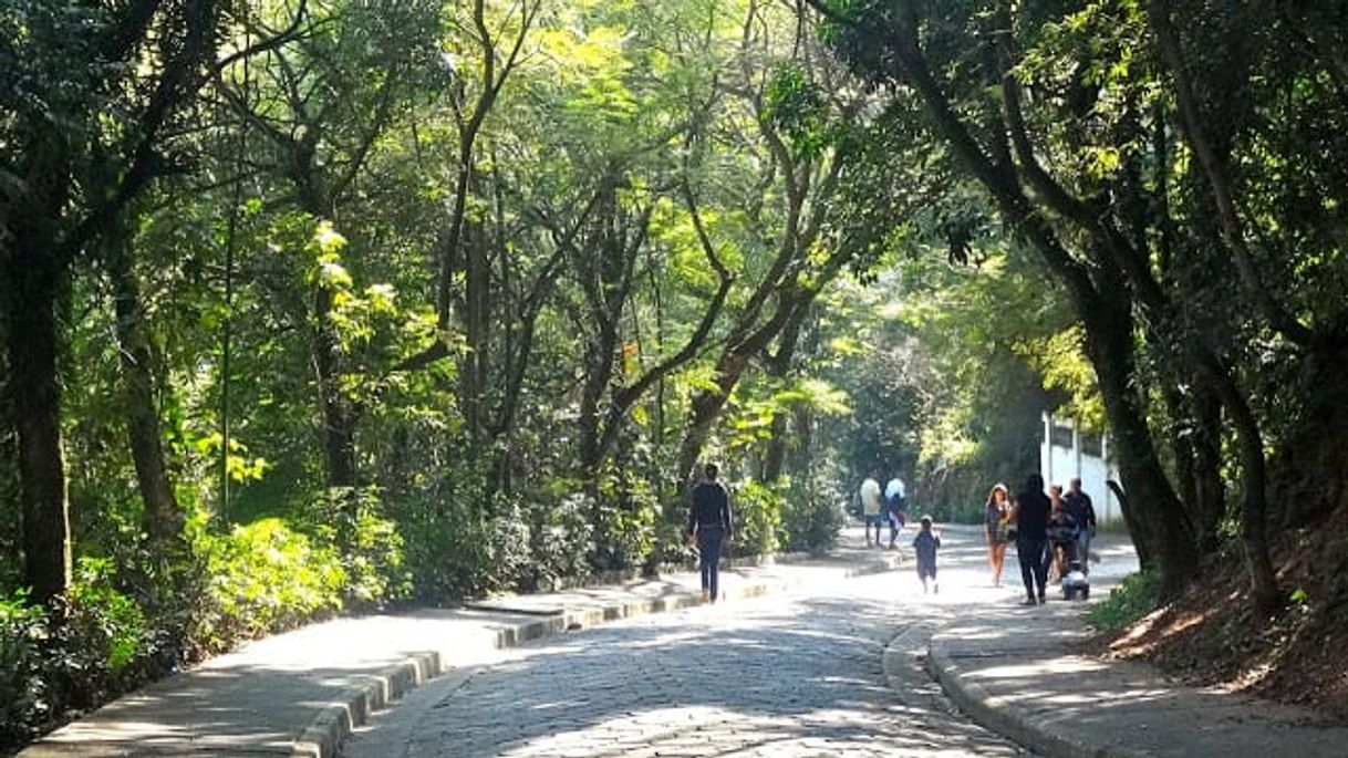 Lugares Parque das Hortênsias