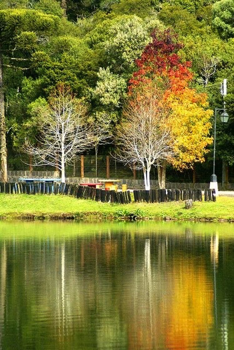 Moda São Francisco de Paula RS 