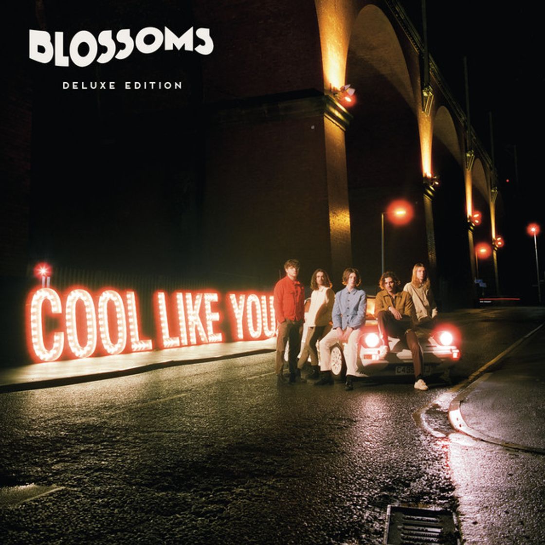 Cool Like You - Acoustic