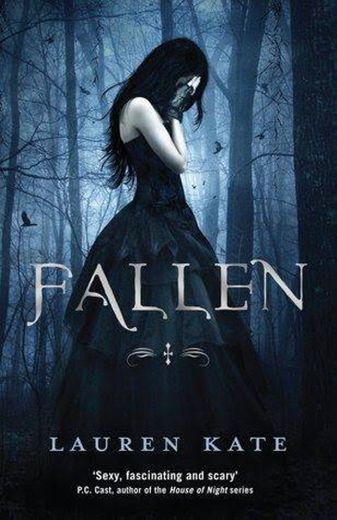 Livro Fallen (Vol.1)