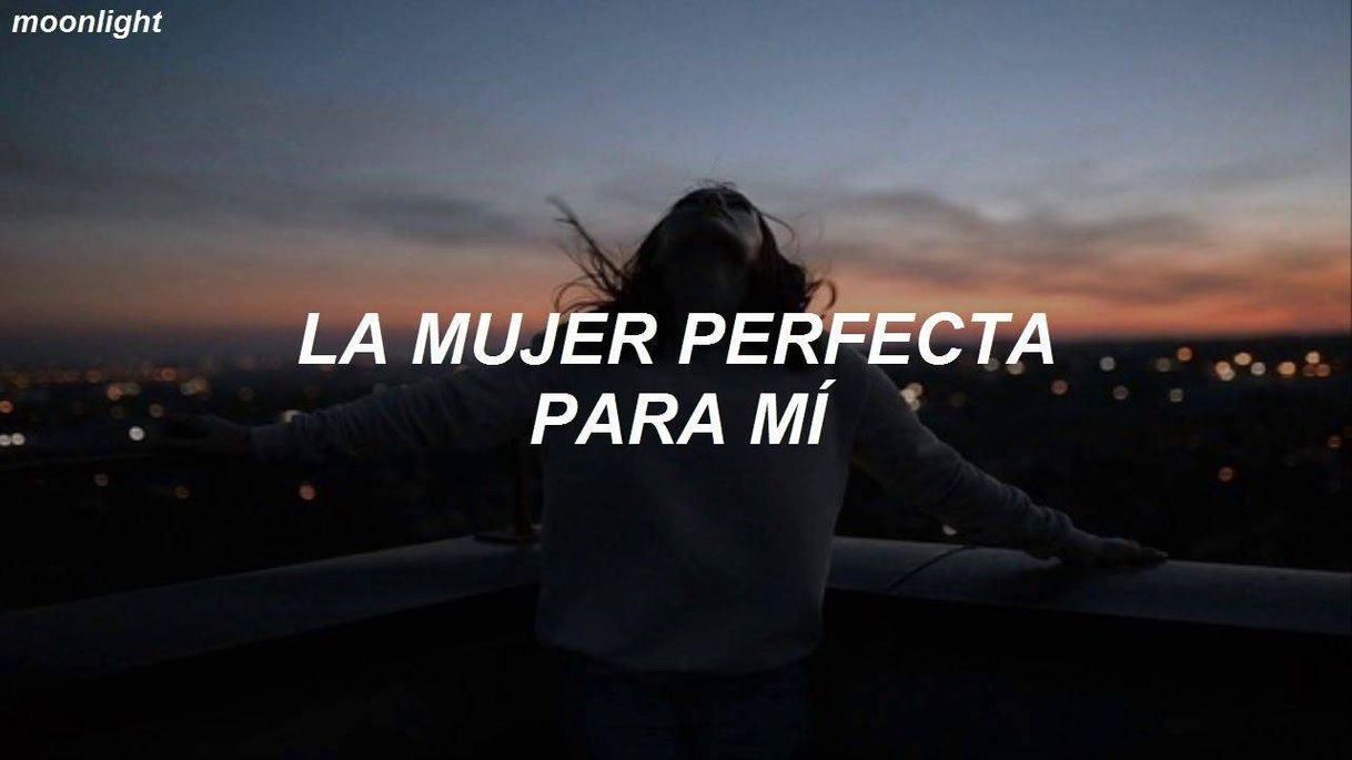 Canción La Mujer Perfecta