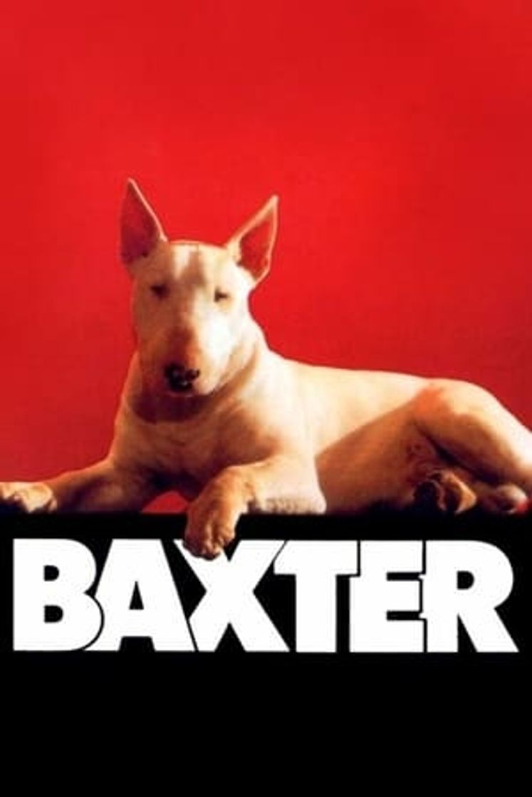 Movie Baxter