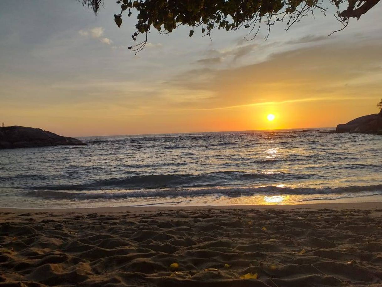 Place Tayrona National Park