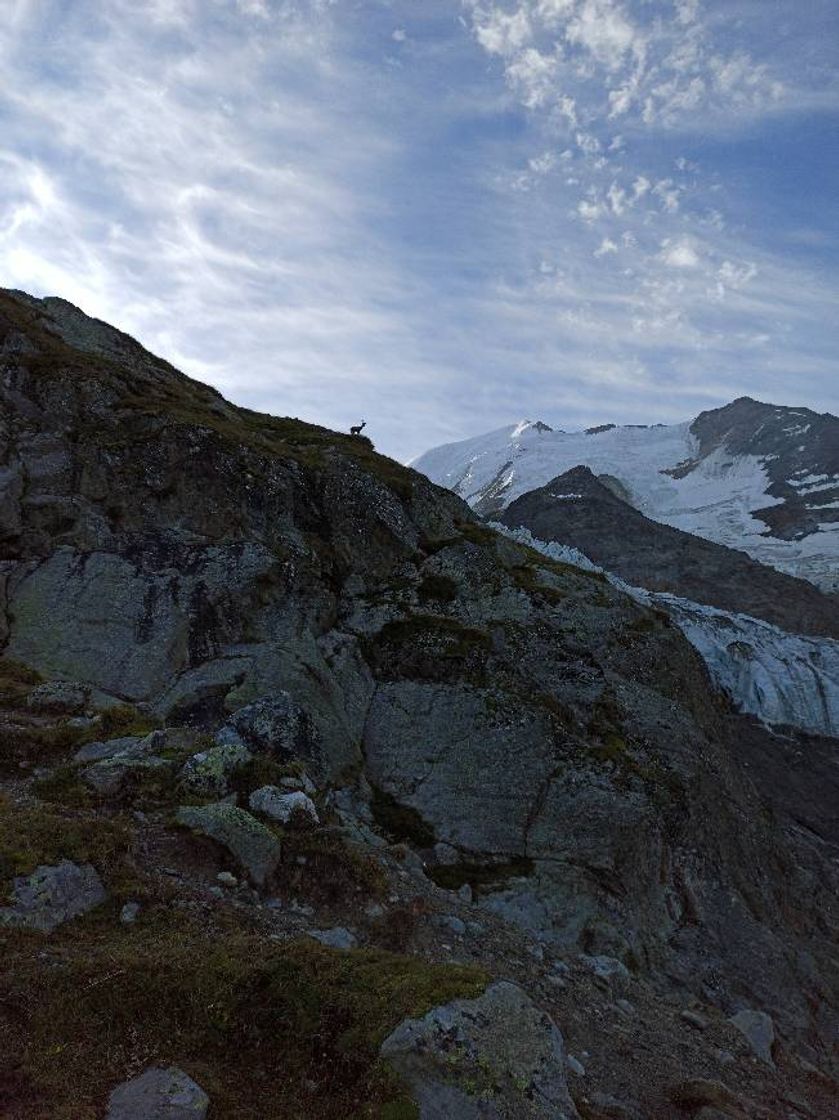 Lugares Tramway du Mont Blanc