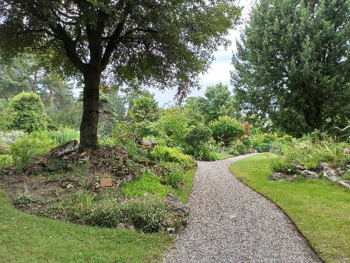 Lugar Conservatorio y Jardín Botánico de Ginebra