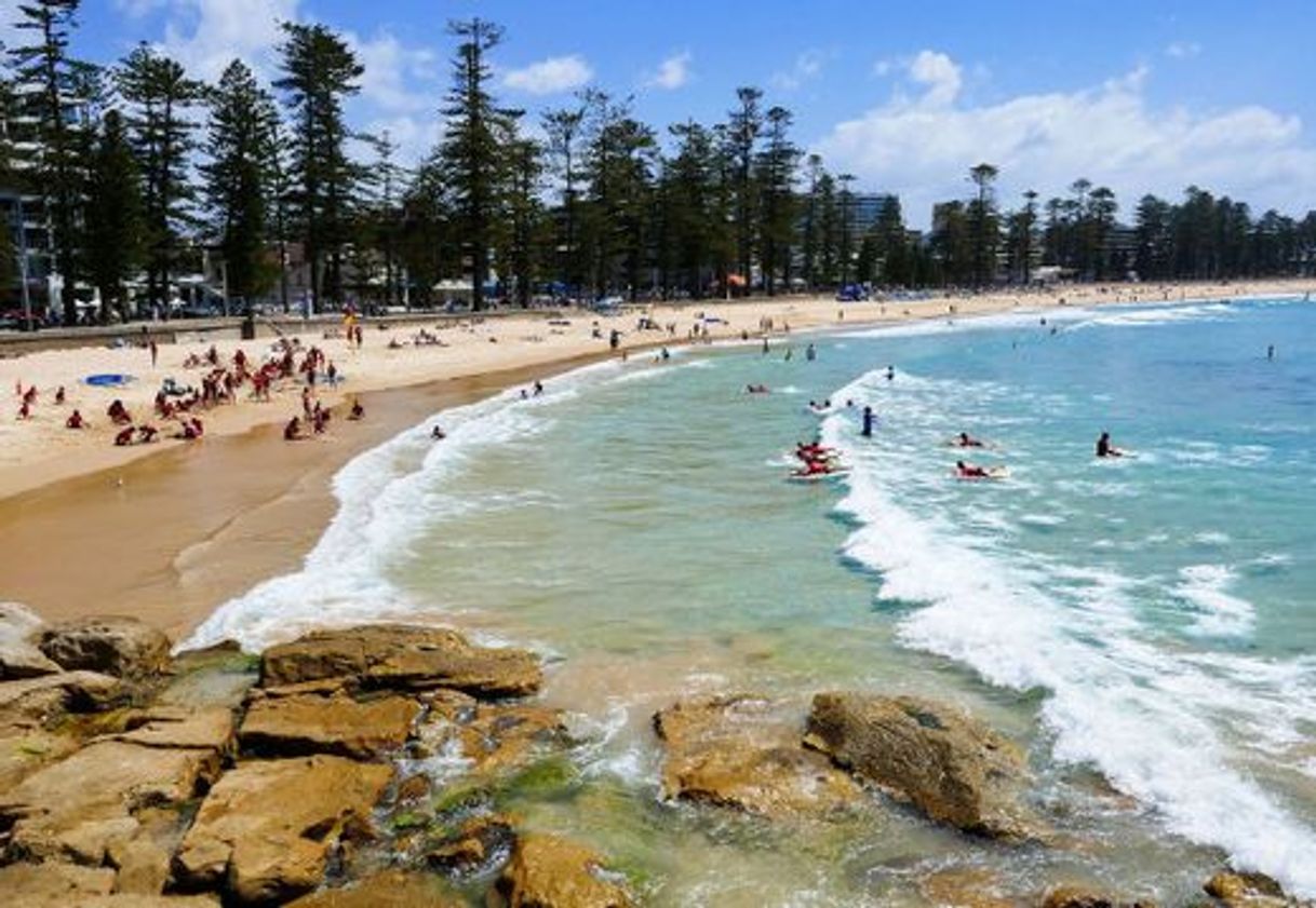 Place Manly Beach