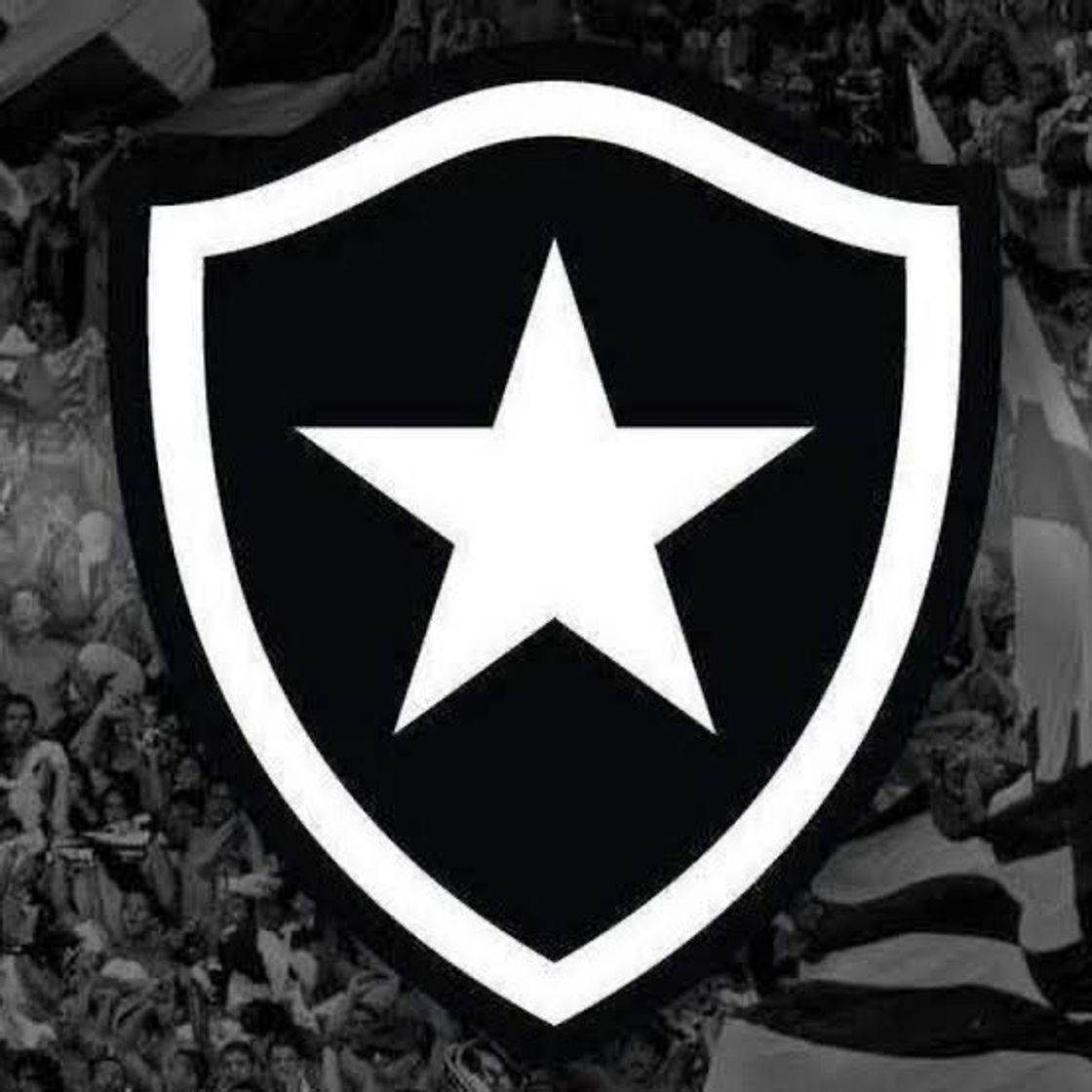 Moda Botafogo de Futebol e Regatas -