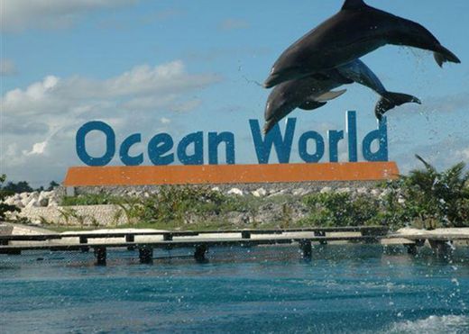Ocean World Adventure Park, Puerto Plata