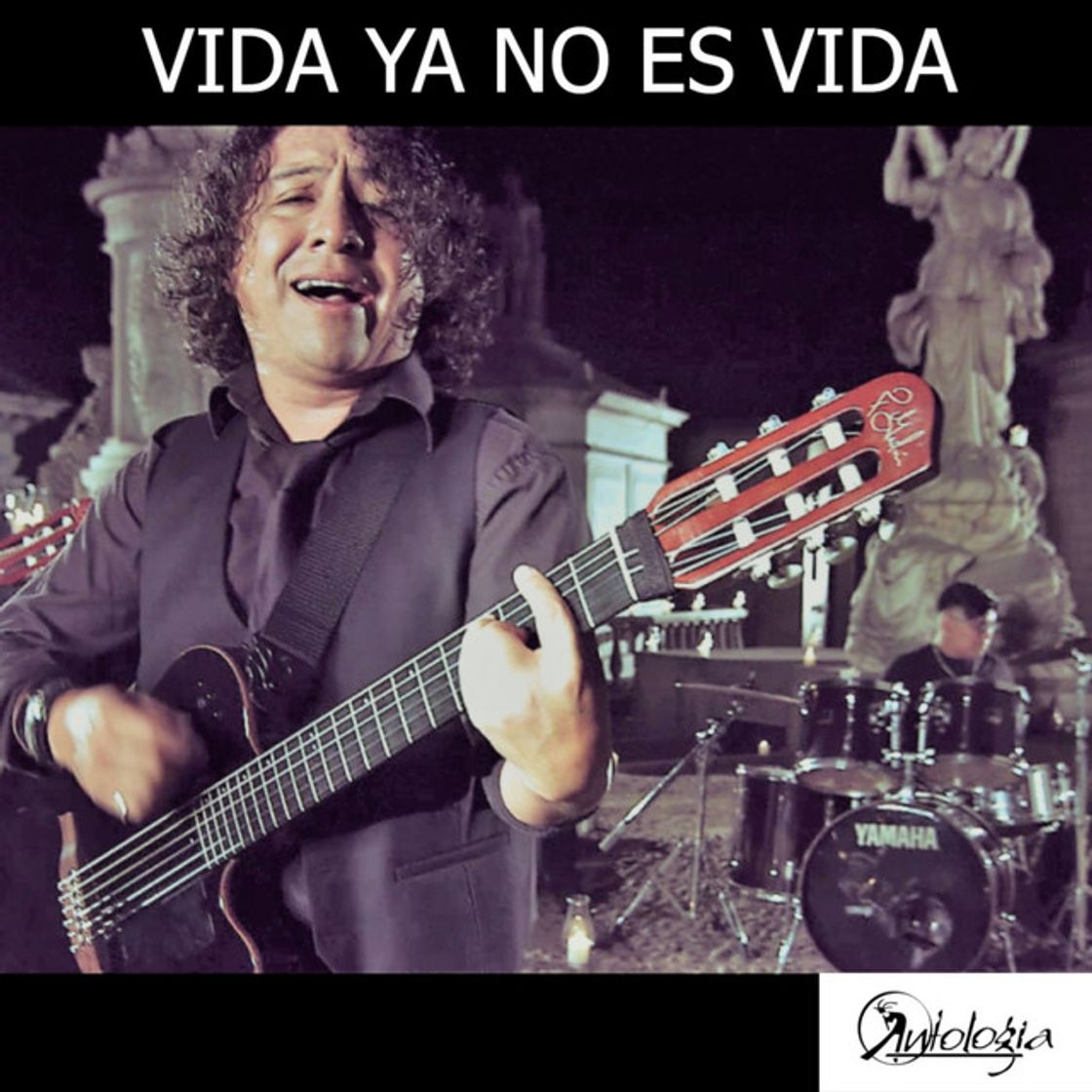 Canción Vida Ya No es Vida