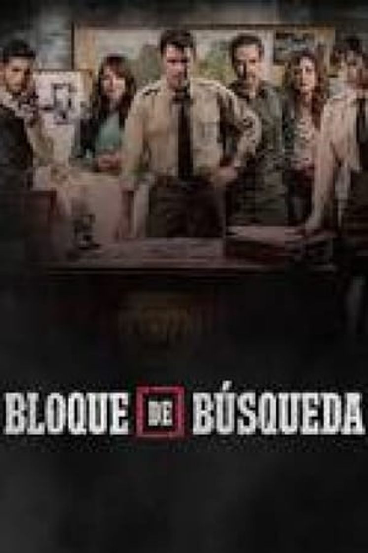 Serie Bloque de búsqueda