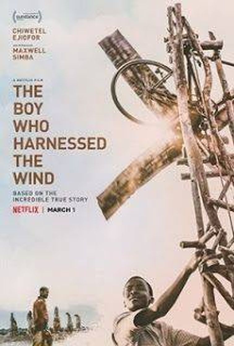Social O menino que descobriu o vento | Netflix 
