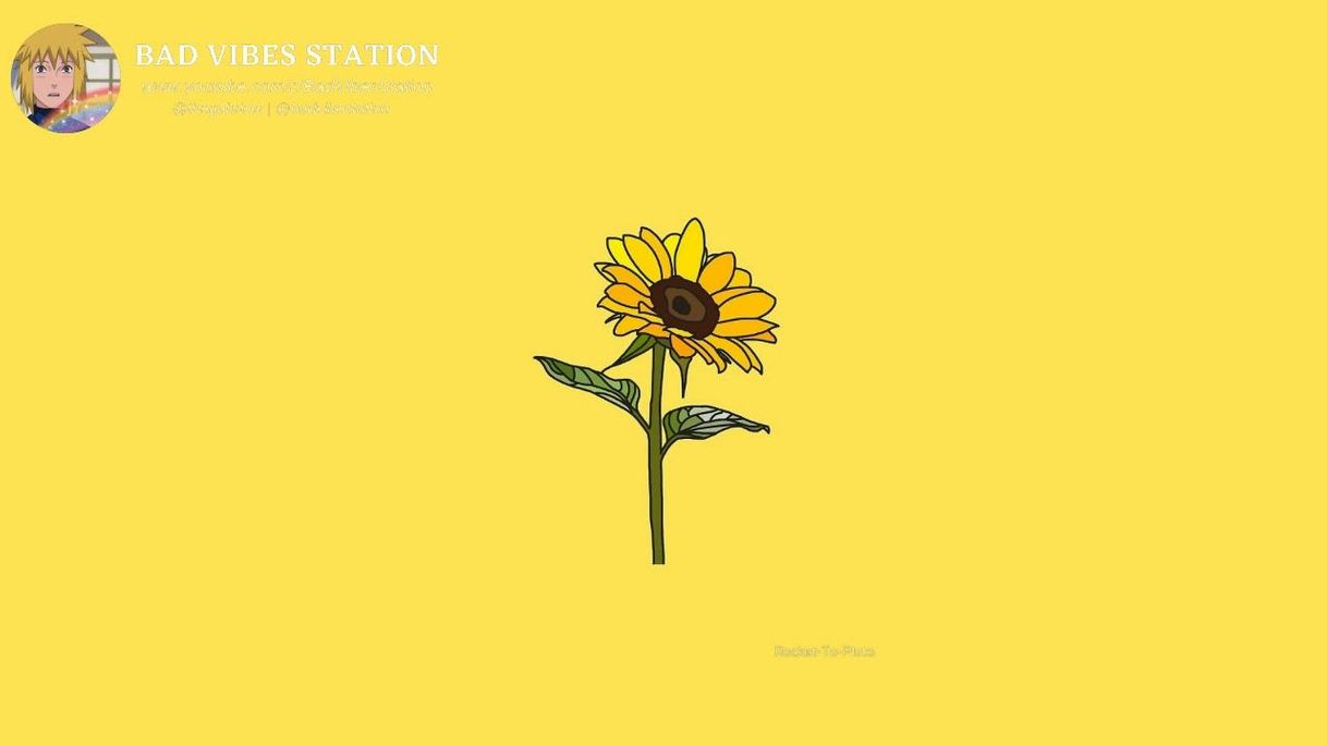 Canción rex orange country - sunflower 