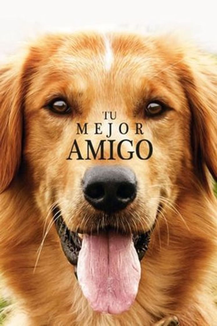 Película Tu mejor amigo