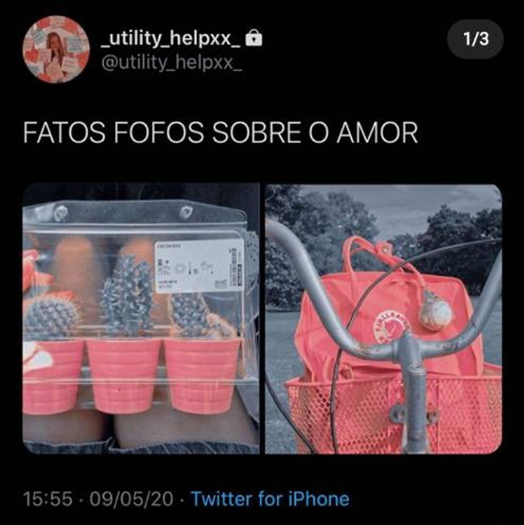 Moda Fatos sobre o amor