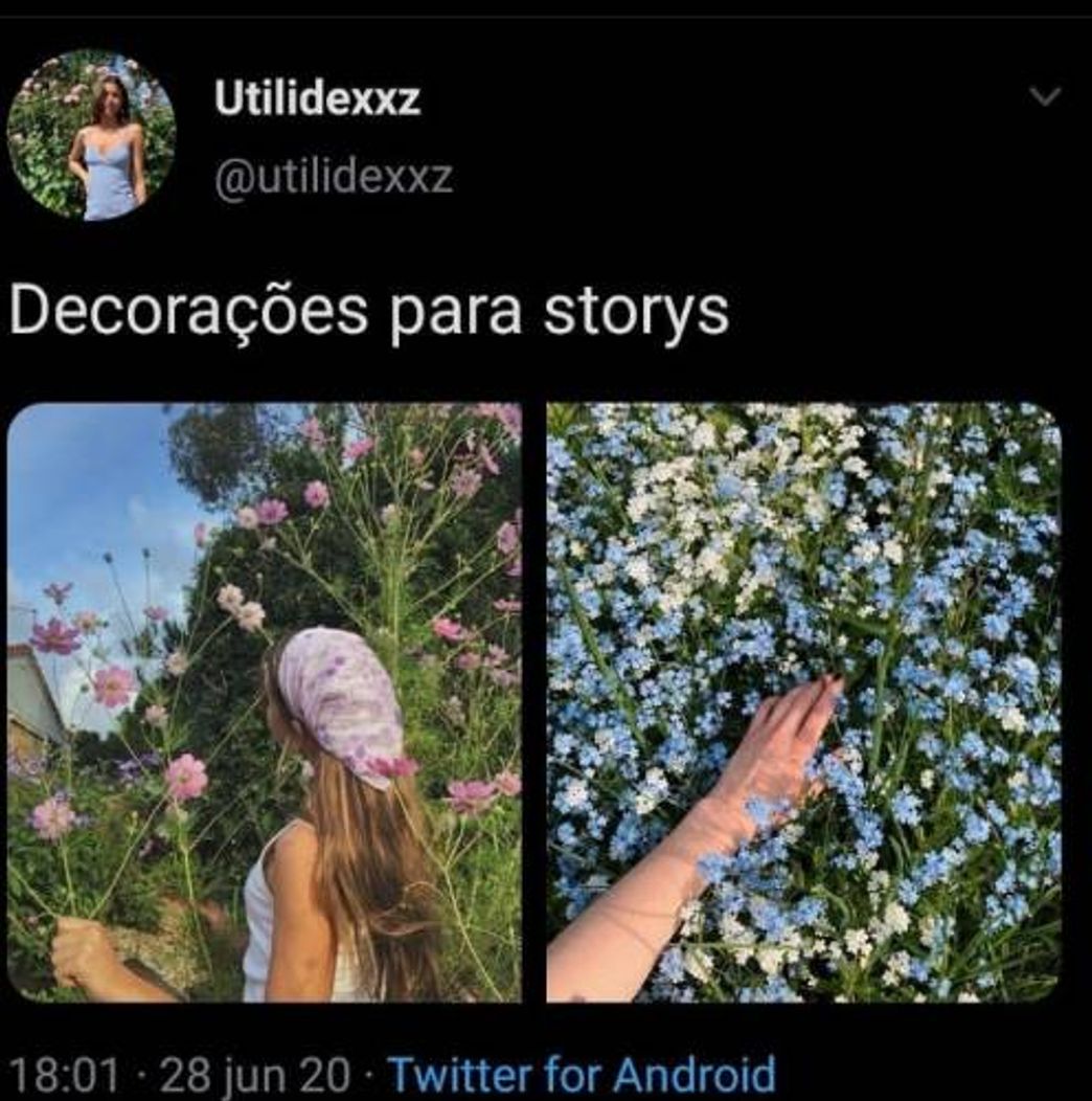 Moda Decorações para stories