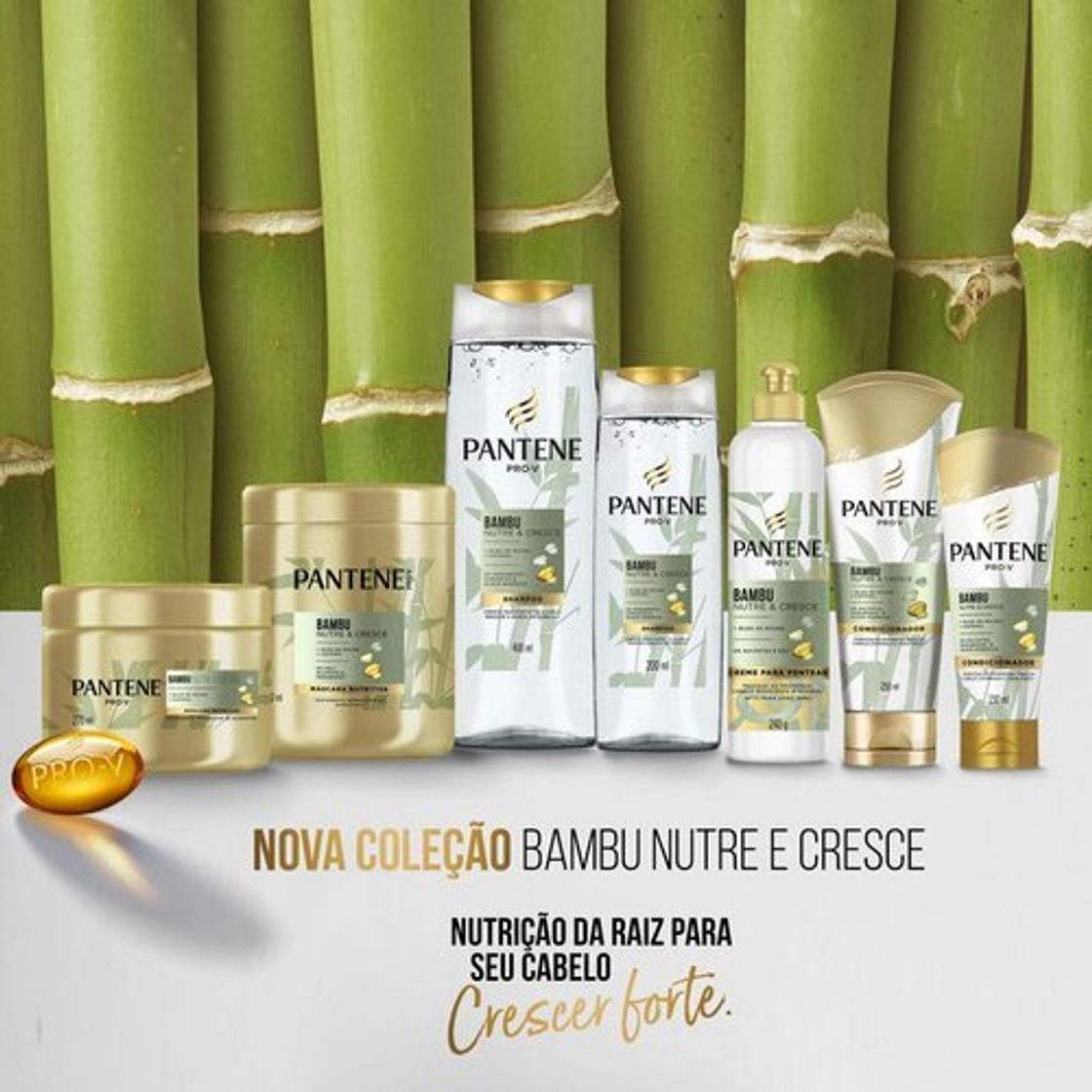 Fashion Linha bambu 