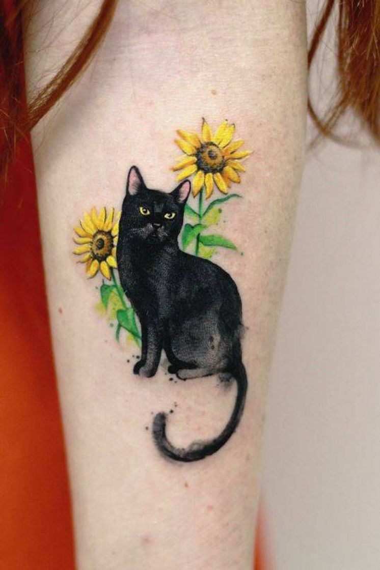 Moda tattoo de gatinho 🐱🌻