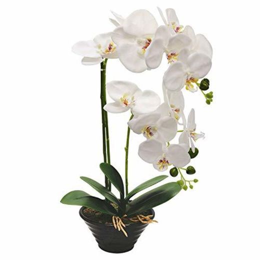 True Holiday Flores Artificiales de orquídea con jarrón de Porcelana Blanca