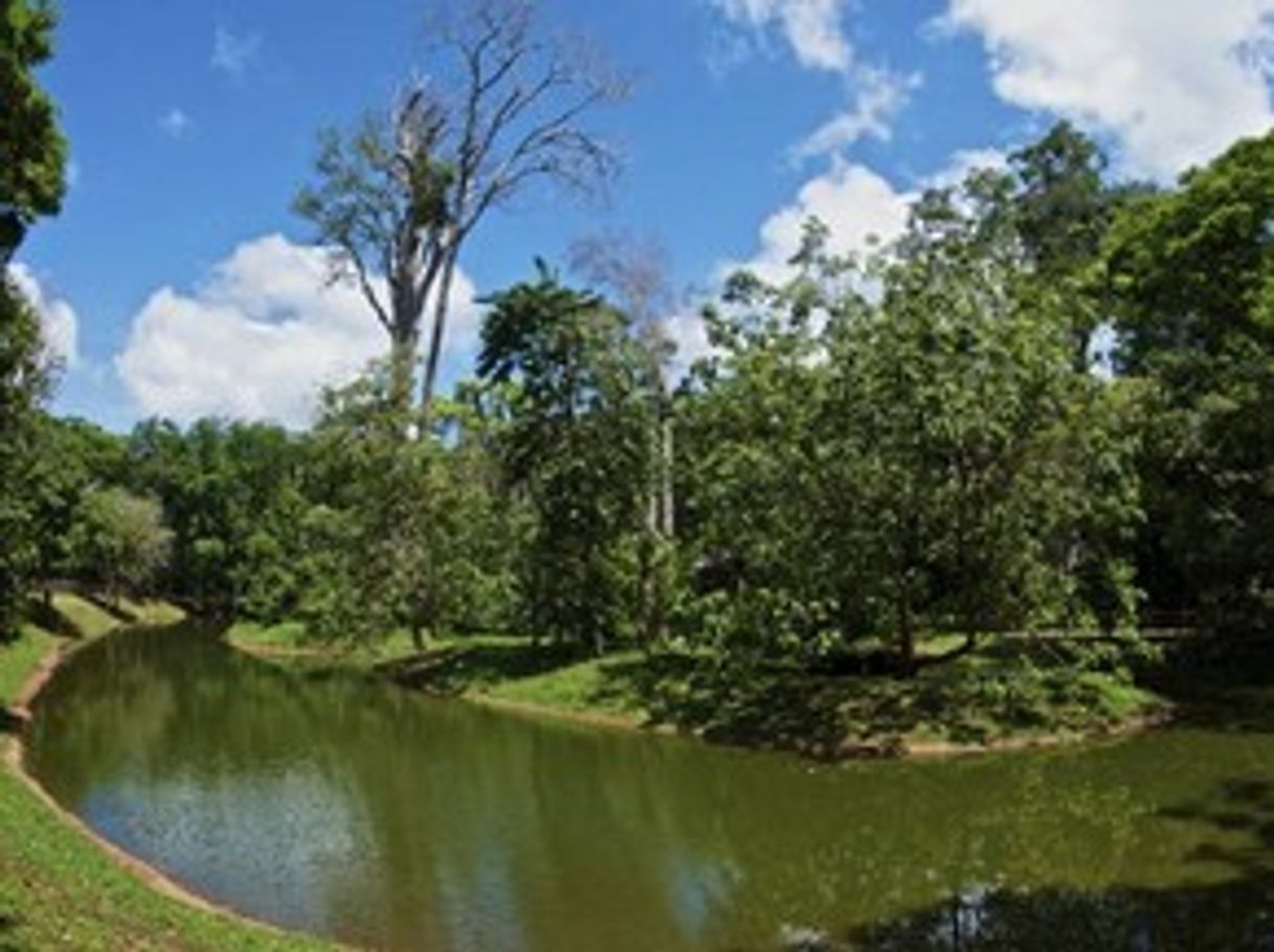 Place Parque Dos Carajas